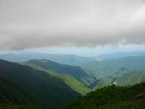 仙丈ケ岳藪沢 (7) (500x375).jpg