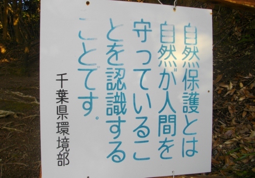 高塚山登山道 (2) (500x349).jpg