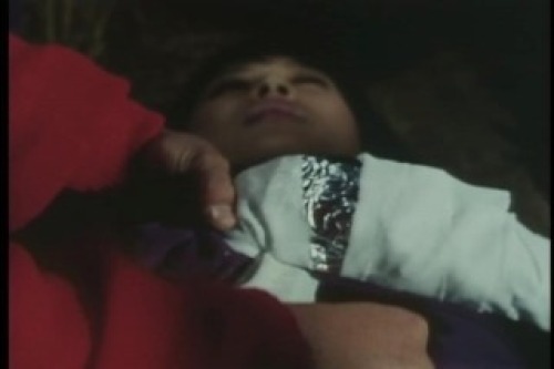 PDVD_005.jpg