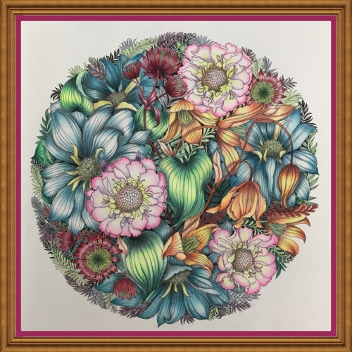 大人の塗り絵 世界一美しい花の塗り絵 | ぬぅ123 コレクション - 楽天ブログ
