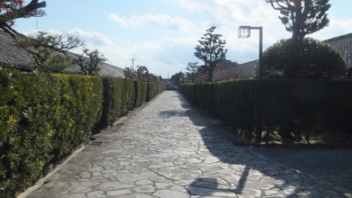 DSCF2033.JPG