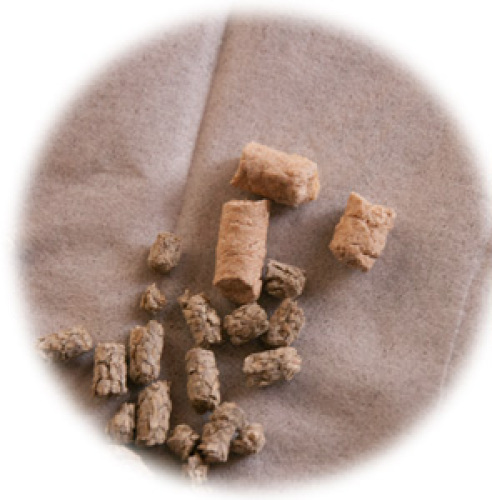 猫の砂 nekosuna_1.jpg