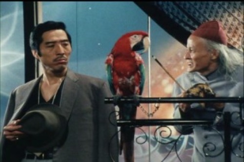 PDVD_003.jpg