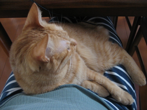 Jan. 07, 2014(13)(V.2014_01_09__10_07_30).jpg