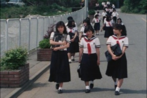 PDVD_005.jpg