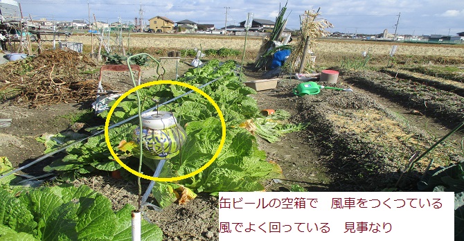 畑でみつけた 空きカンの 風車 はた坊のブログ 家庭菜園を始めて17年目に 9月からは菜園に専念に なりました 楽天ブログ