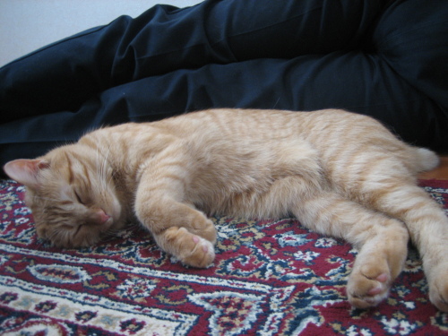 July 17, 2013(3).JPG