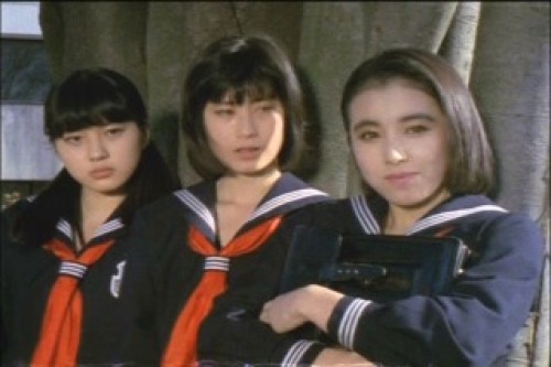 PDVD_065.jpg