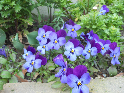 DSCN0897.JPG