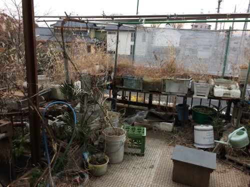 IMG_0798 - コピー.JPG