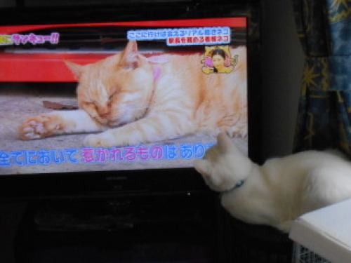 DSCN3455.JPG