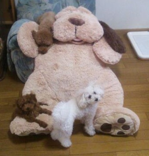 20120907_084317.jpg