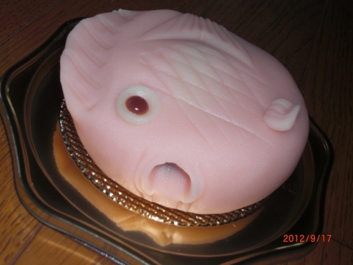 CIMG6374 (640x480).jpg