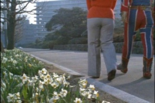PDVD_029.jpg