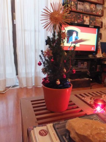 25 natale albero di natale.jpg