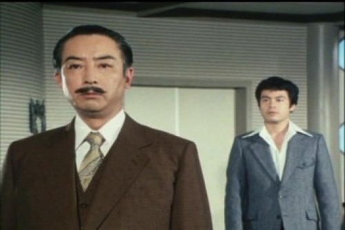 PDVD_013.jpg