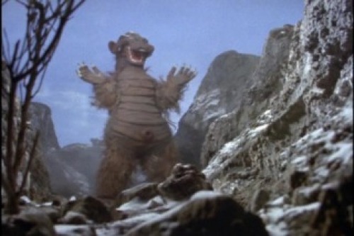 PDVD_041.jpg