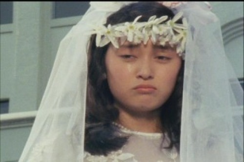 PDVD_045.jpg