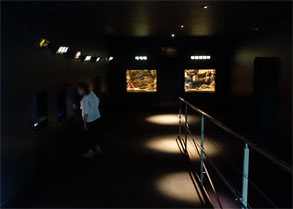 小名浜108.jpg