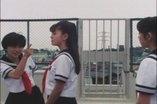 PDVD_010.jpg