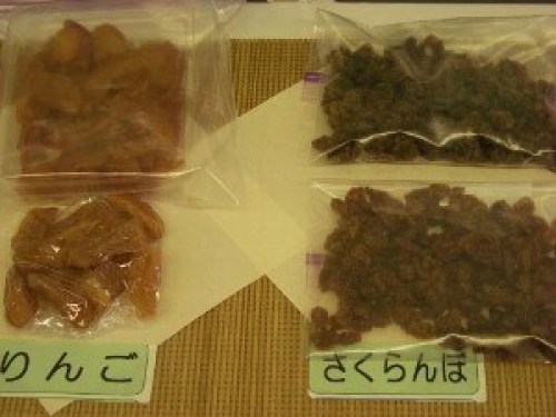 DSCN8984 (300x225).jpg