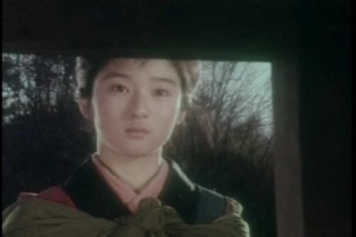PDVD_019.jpg