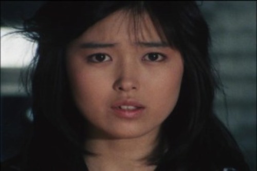 PDVD_003.jpg