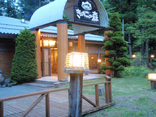 きのこの森.jpg