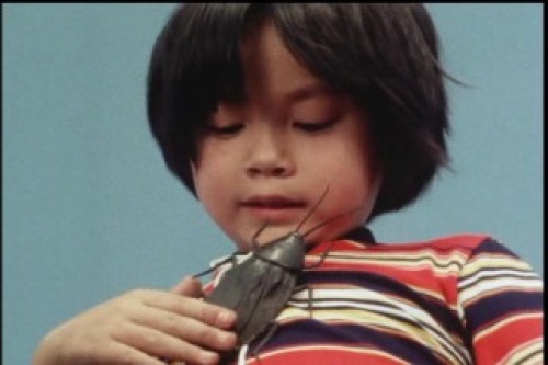 PDVD_016.jpg