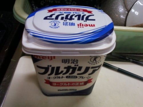 ヨーグルト漬け01.jpg
