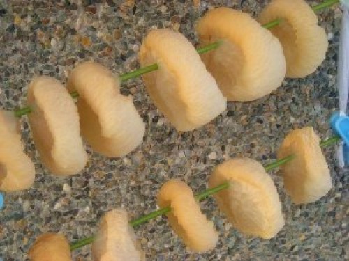 DSCN5496 (300x225).jpg