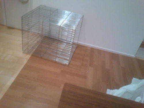 2 お掃除。。。0179.JPG