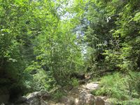 IMG_7694_R.JPG
