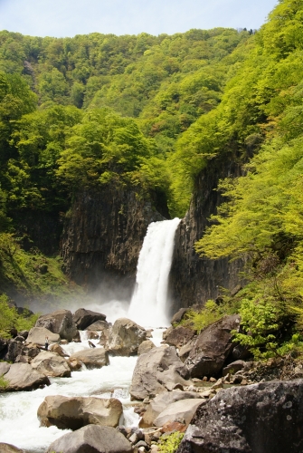 苗名滝新緑と縦位置２０１３５月２５日。 (1004x1500).jpg