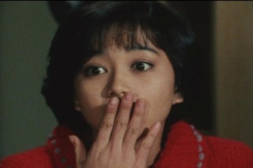PDVD_012.jpg
