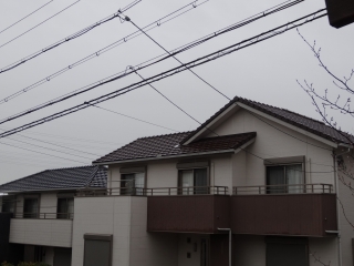 DSC00054.jpg