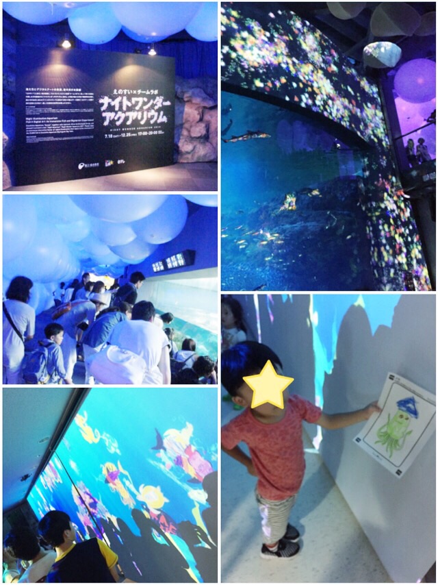 15年江ノ島水族館 チームラボ ナイトワンダーアクアリウムに行って来た Choco Rabbit Blog Vol 2 チョコラビットブログ 楽天ブログ