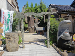 水木16.jpg
