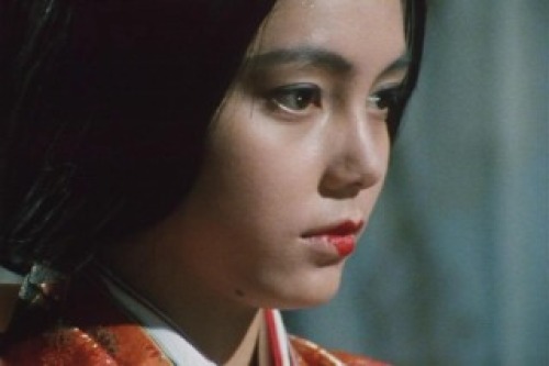 PDVD_030.jpg