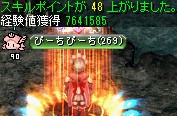 キングクラブの巣