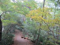 IMG_0106_R.JPG