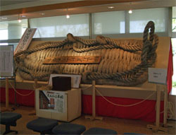 村山7.jpg