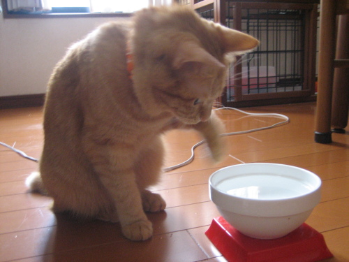 August 17, 2013(13).JPG