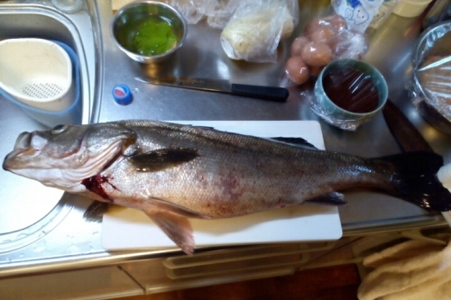 2016-07-16 17-11-26.jpg