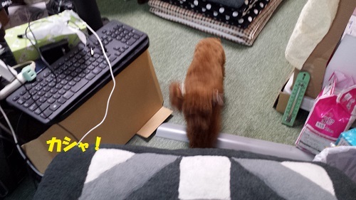 20140415_174919_1.jpg
