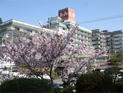 葉山館6.jpg