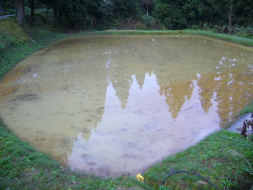 P1030201.JPG