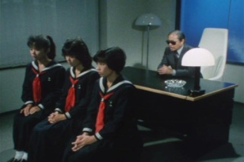 PDVD_004.jpg