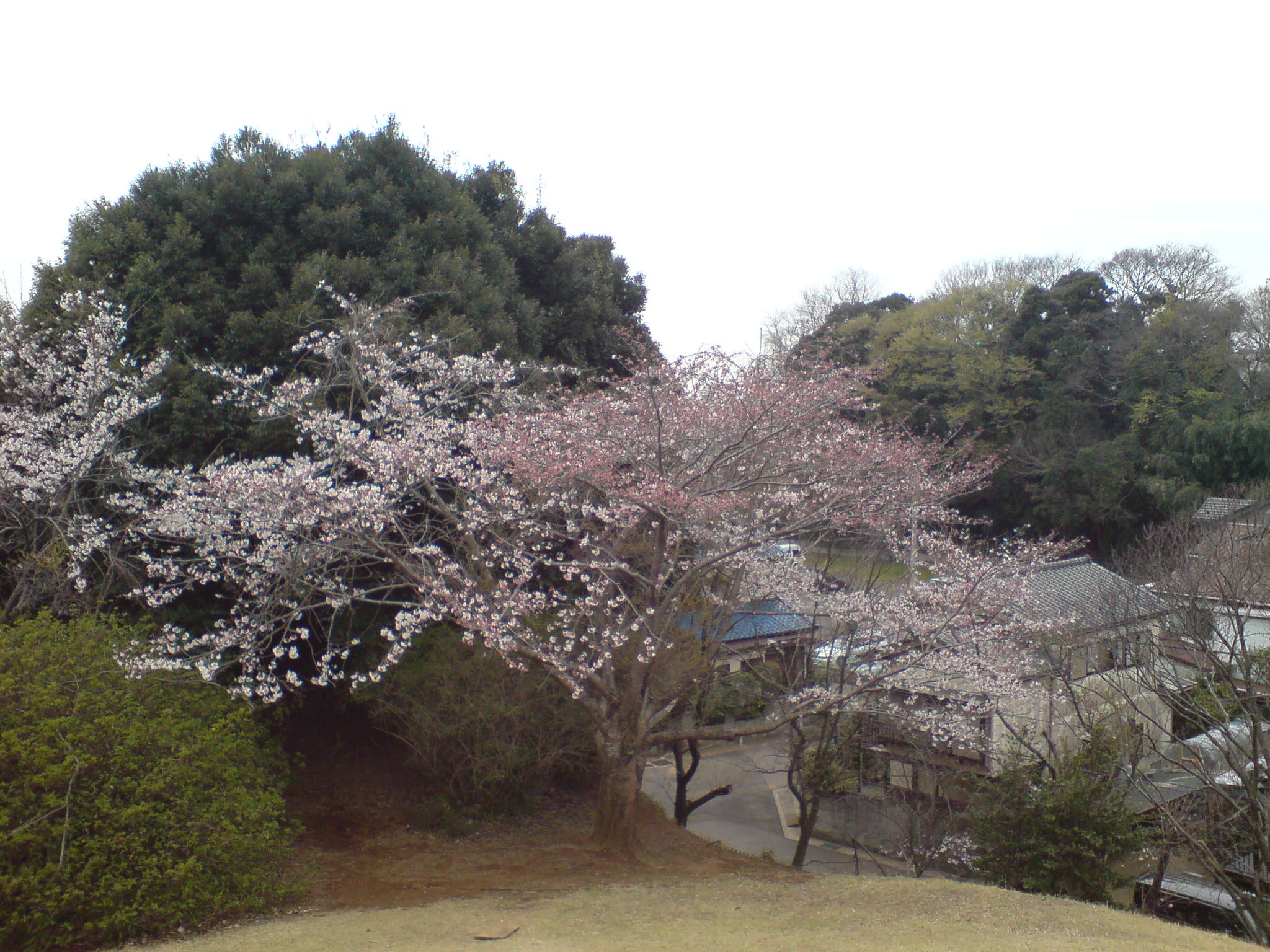 20130330000001.jpg