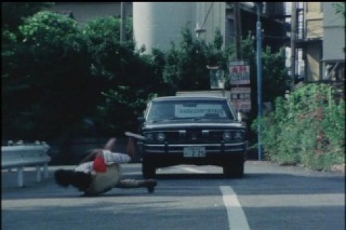 PDVD_006.jpg